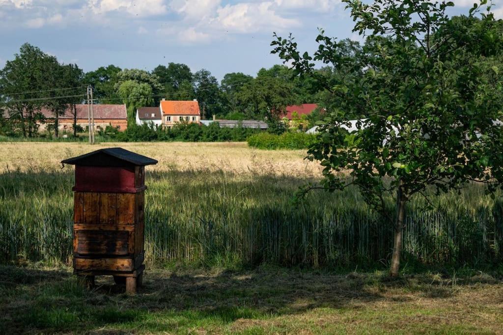Agroturystyka Borow Prusice 외부 사진